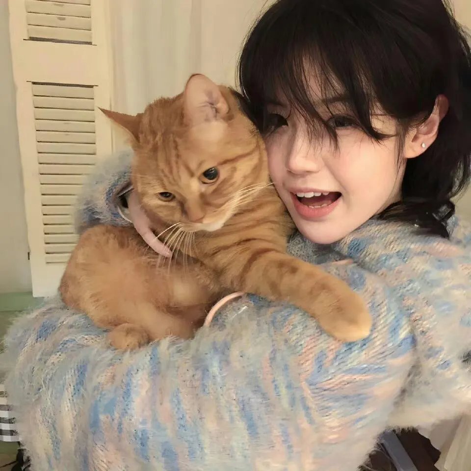 玩具总动员之惊魂夜